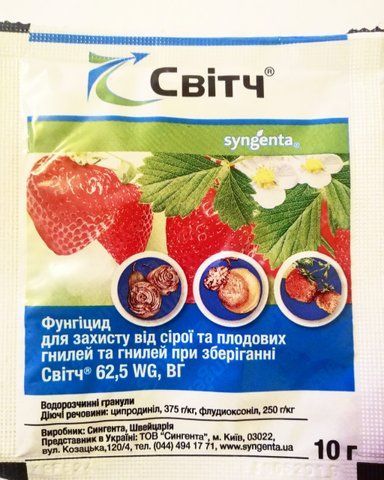 Світч, 10 г Syngenta фунгіцид 59733 фото
